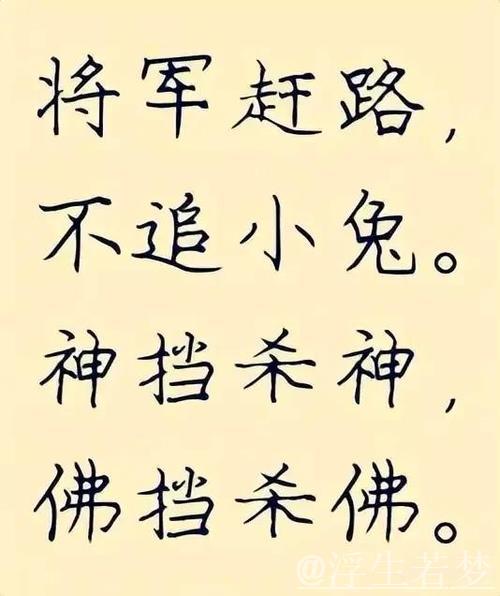 老话:“不怕千招会,只怕一招精” 老话:“不怕千招会,只怕一招精”